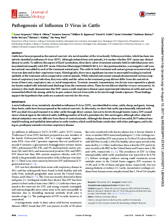 (PDF) Pathogenesis of Influenza D virus in Cattle