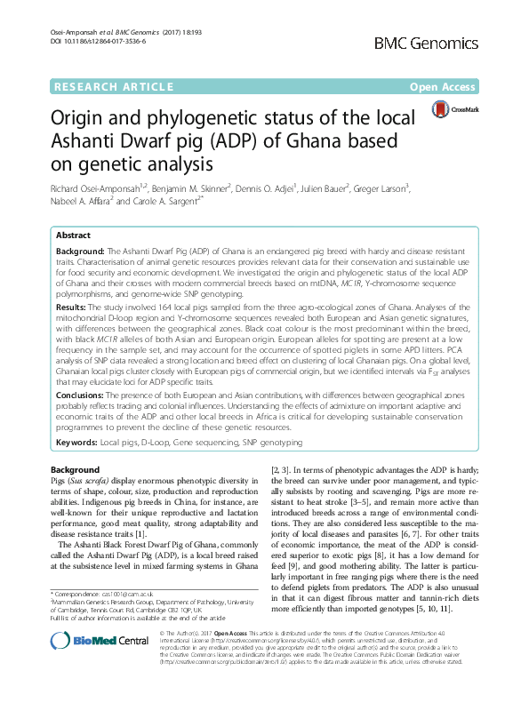 What is pig analysis? What is pig analysis?