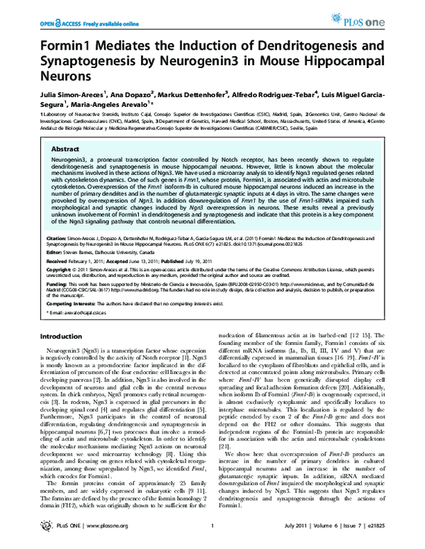 (PDF) Formin1 Mediates the Induction of Dendritogenesis and ...