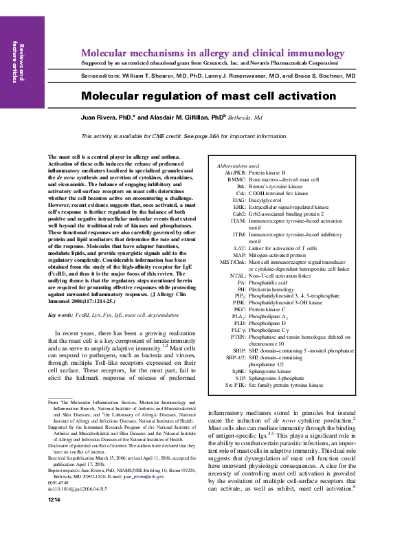 (PDF) Molecular regulation of mast cell activation