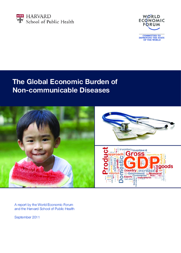 (PDF) The Global Economic Burden of Noncommunicable Diseases
