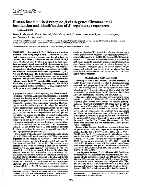 (PDF) Human interleukin 2 receptor beta-chain gene: chromosomal ...