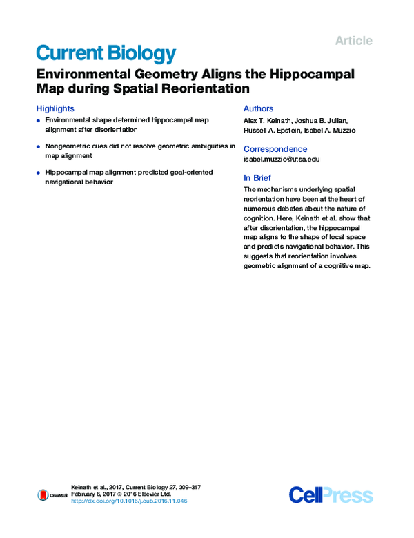 (PDF) Environmental Geometry Aligns the Hippocampal Map during Spatial ...