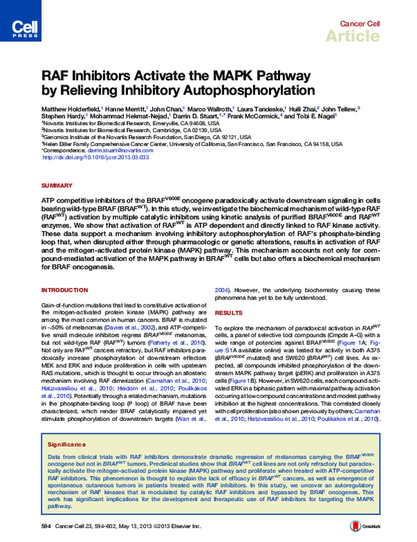 (PDF) RAF Inhibitors Activate the MAPK Pathway by Relieving Inhibitory ...