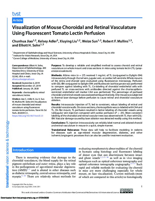 (PDF) Visualization of Mouse Choroidal and Retinal Vasculature Using