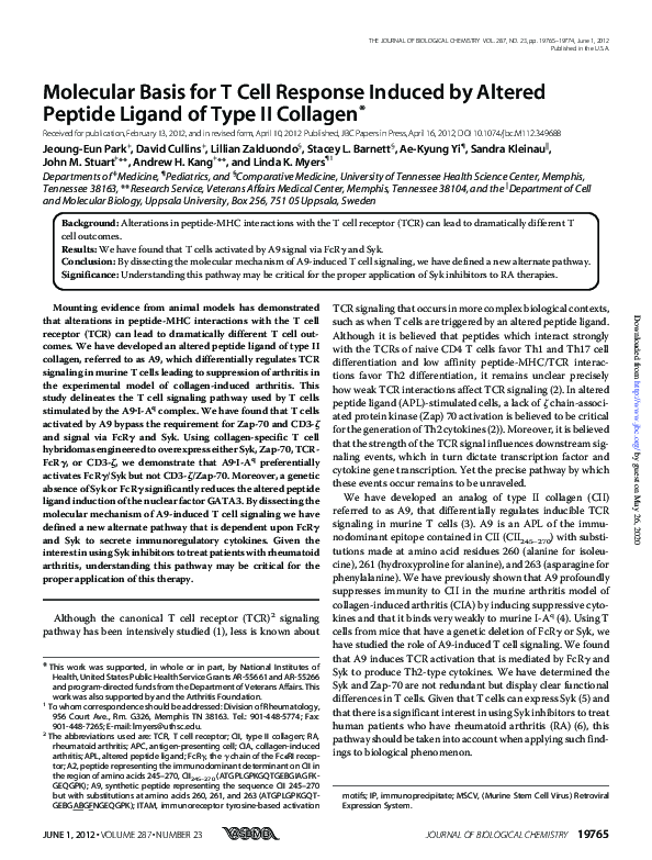 (PDF) Molecular Basis for T Cell Response Induced by Altered Peptide ...