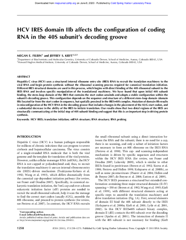 (PDF) HCV IRES domain IIb affects the configuration of coding RNA in ...