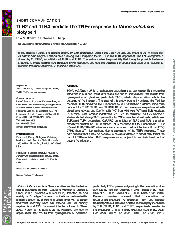 (PDF) TLR2 and TLR4 mediate the TNFα response to Vibrio vulnificus ...