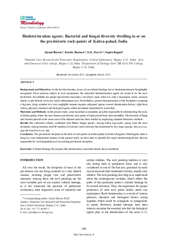 (PDF) Biodeterioration agents: Bacterial and fungal diversity dwelling ...