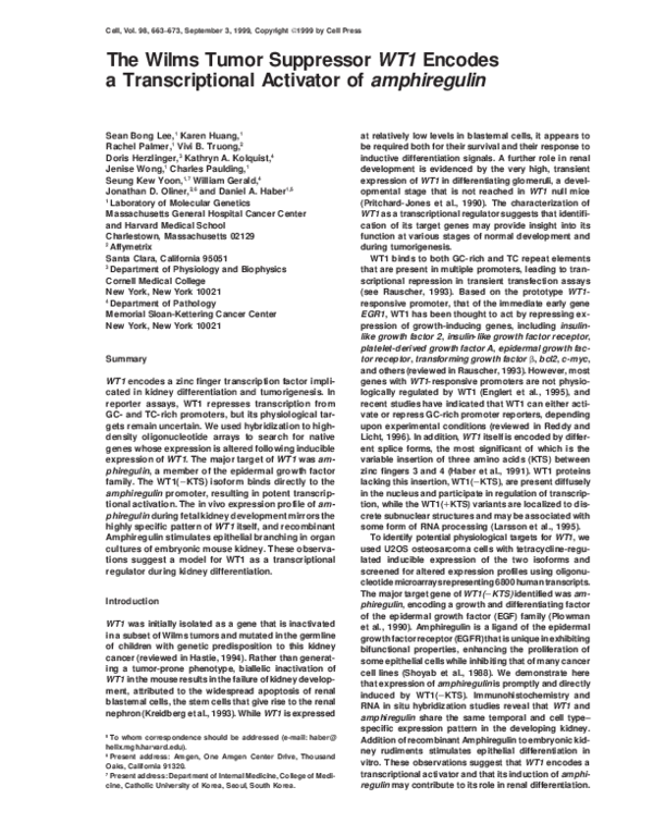 (PDF) The Wilms Tumor Suppressor WT1 Encodes a Transcriptional ...