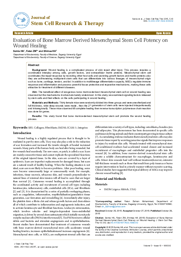 (PDF) Evaluation of bone marrow-derived mesenchymal stem cells from ...