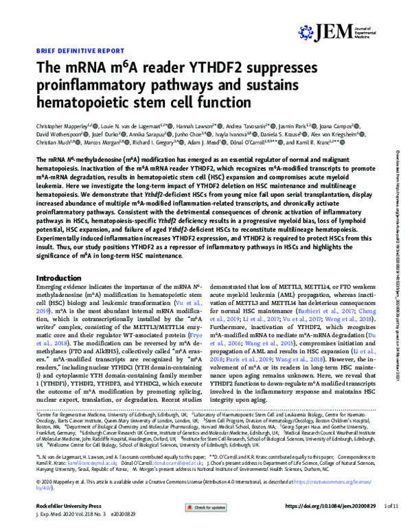 (PDF) The mRNA m6A reader YTHDF2 suppresses proinflammatory pathways ...
