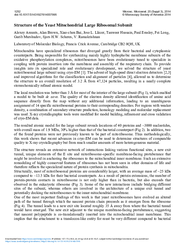 (PDF) Structure of the Yeast Mitochondrial Large Ribosomal Subunit