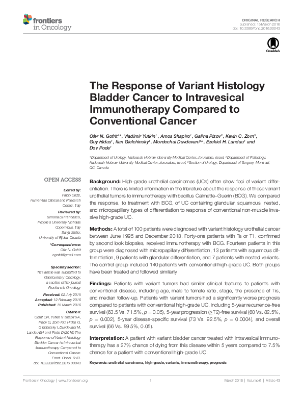 (PDF) The Response of Variant Histology Bladder Cancer to Intravesical ...