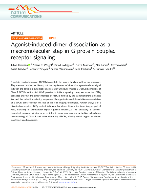 (PDF) Agonist-induced dimer dissociation as a macromolecular step in G ...