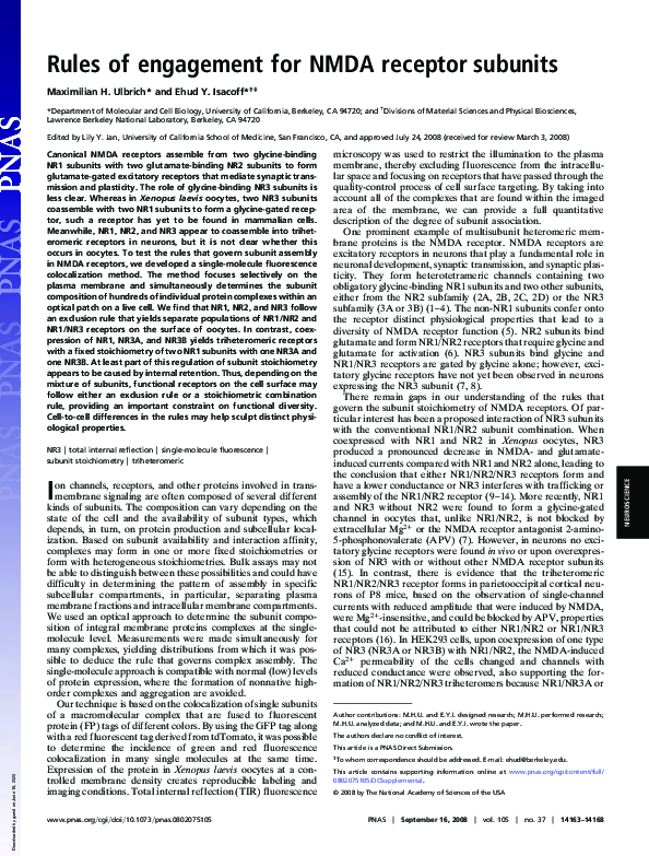 (PDF) Rules of engagement for NMDA receptor subunits