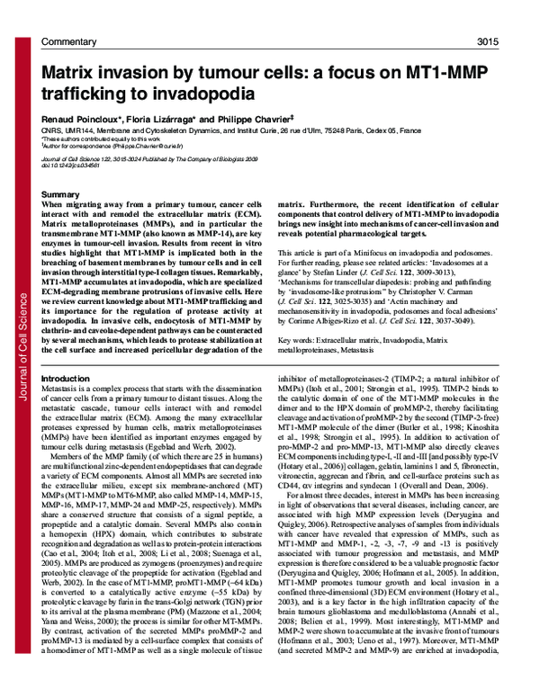(PDF) Matrix invasion by tumour cells: a focus on MT1-MMP trafficking ...