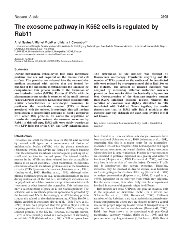 (PDF) The exosome pathway in K562 cells is regulated by Rab11