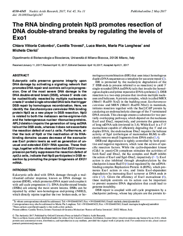 (PDF) The RNA binding protein Npl3 promotes resection of DNA double ...