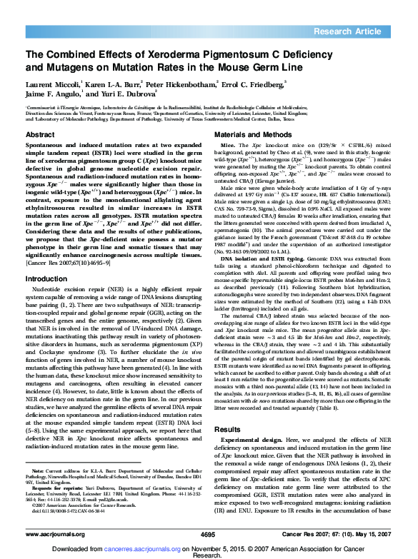 (PDF) The Combined Effects of Xeroderma Pigmentosum C Deficiency and ...