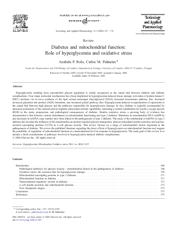 (PDF) Diabetes and mitochondrial function: role of hyperglycemia and ...
