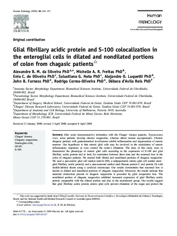 (PDF) Glial fibrillary acidic protein and S-100 colocalization in the ...