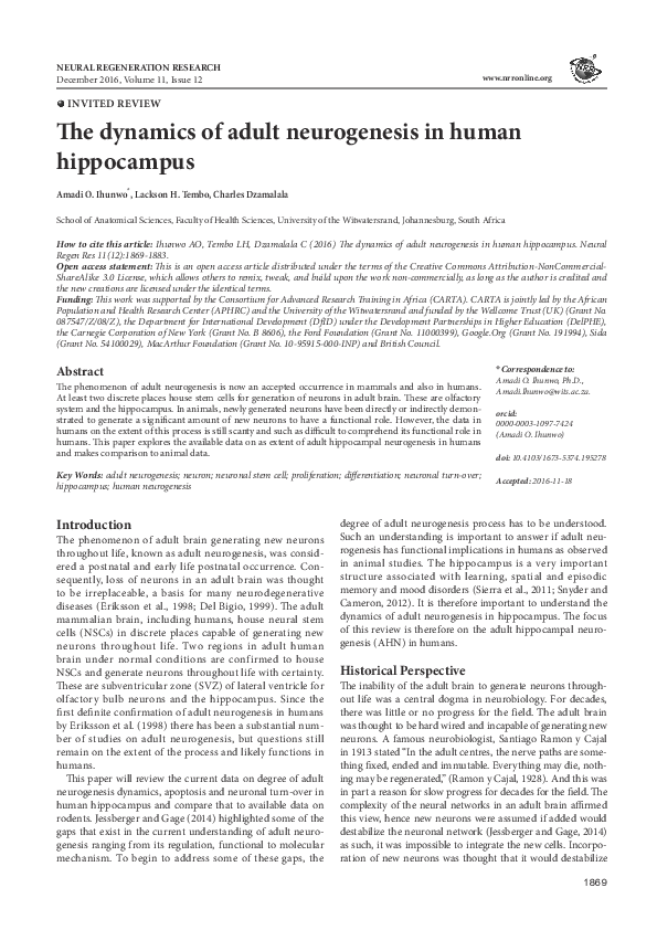 (PDF) The dynamics of adult neurogenesis in human hippocampus