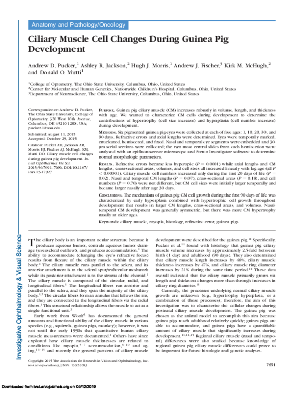 (PDF) Ciliary Muscle Cell Changes During Guinea Pig Development - Simple Activities To Improve Guinea Pig Muscular Development