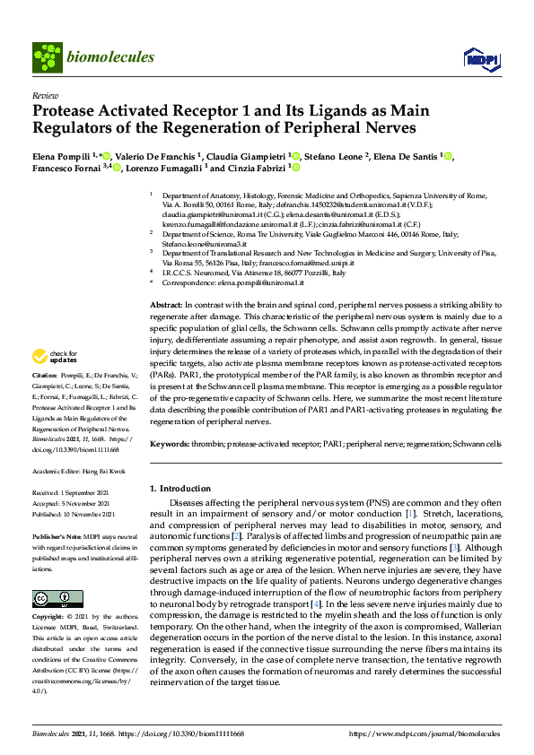 (PDF) Protease Activated Receptor 1 and Its Ligands as Main Regulators ...