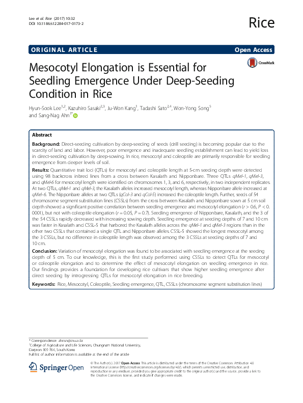(PDF) Mesocotyl Elongation is Essential for Seedling Emergence Under ...