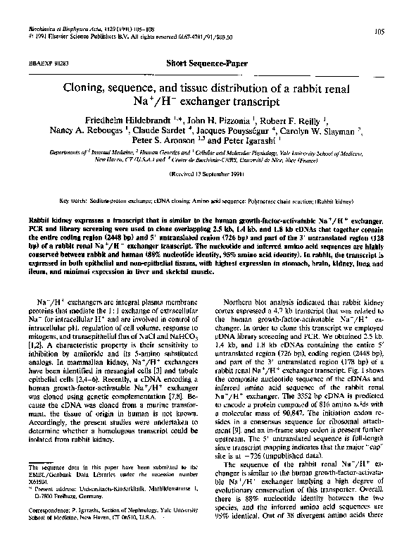 (PDF) Cloning, sequence, and tissue distribution of a rabbit renal Na+ ...