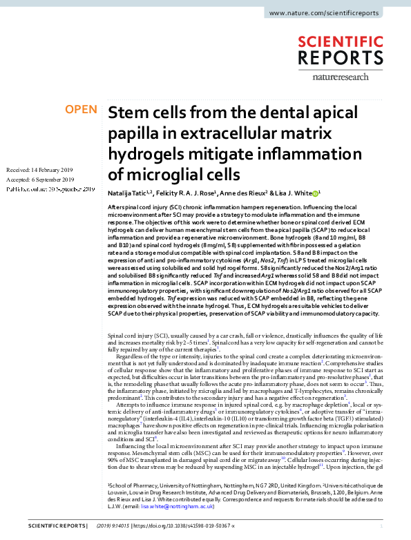 (PDF) Stem cells from the dental apical papilla in extracellular matrix ...