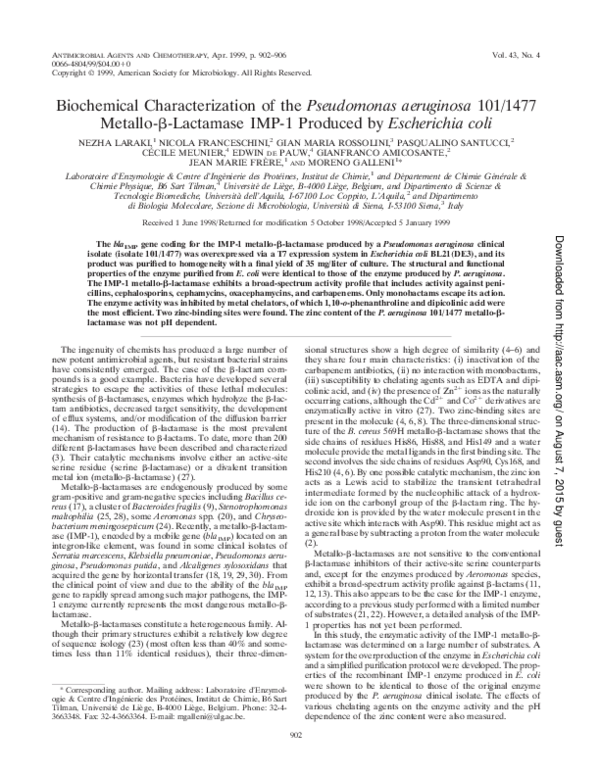 (PDF) Biochemical Characterization of the Pseudomonas aeruginosa 101/ ...