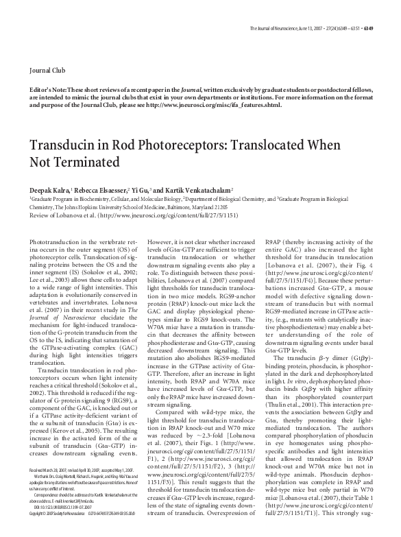 (PDF) Transducin in rod photoreceptors: translocated when not terminated