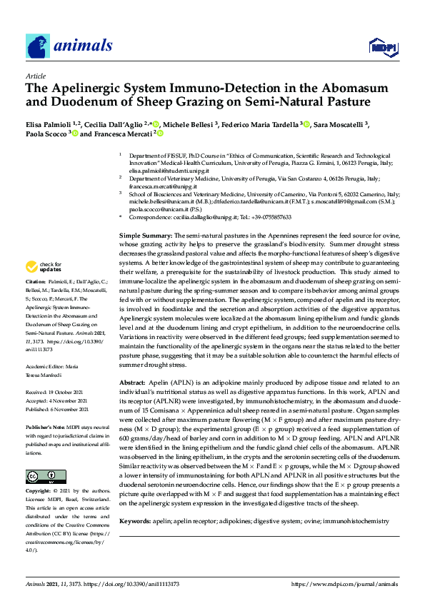 (PDF) The Apelinergic System Immuno-Detection in the Abomasum and ...
