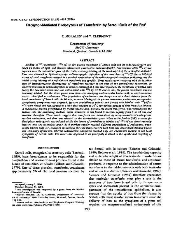(PDF) Receptor-mediated endocytosis of transferrin by Sertoli cells of ...