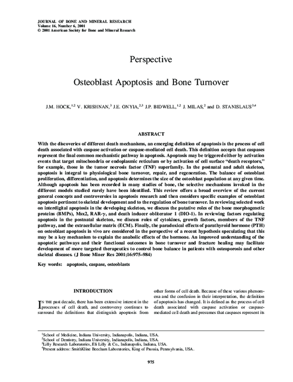 (PDF) Osteoblast apoptosis and bone turnover