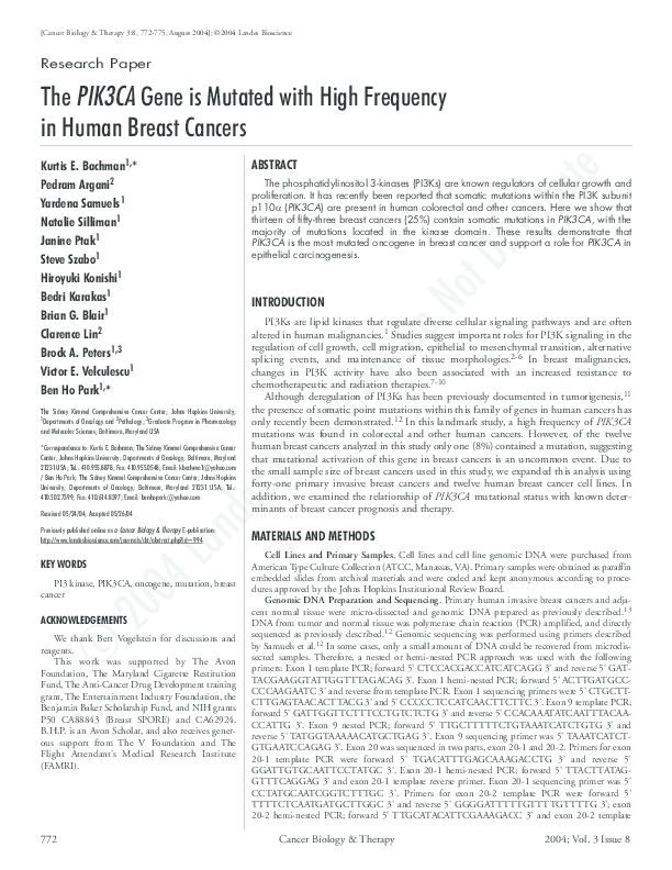 Humanities thesis ideas picture