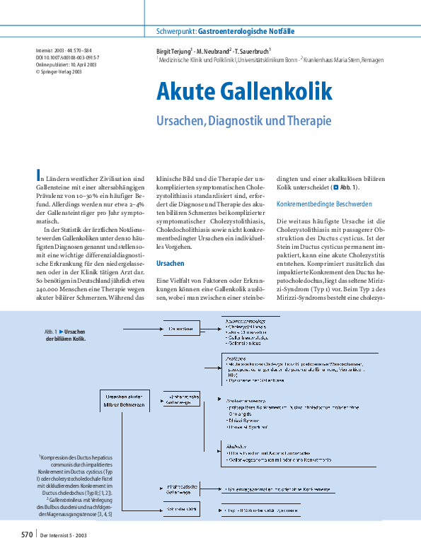 (PDF) Die akute Gallenkolik Tilman Sauerbruch Academia.edu
