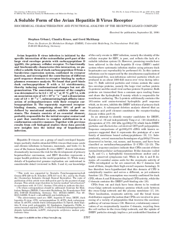 (PDF) A Soluble Form of the Avian Hepatitis B Virus Receptor ...