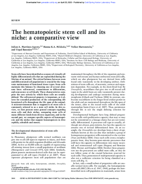 (PDF) The hematopoietic stem cell and its niche: a comparative view