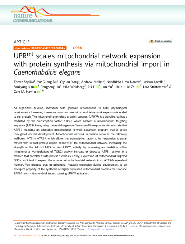 (PDF) UPRmt scales mitochondrial network expansion with protein ...
