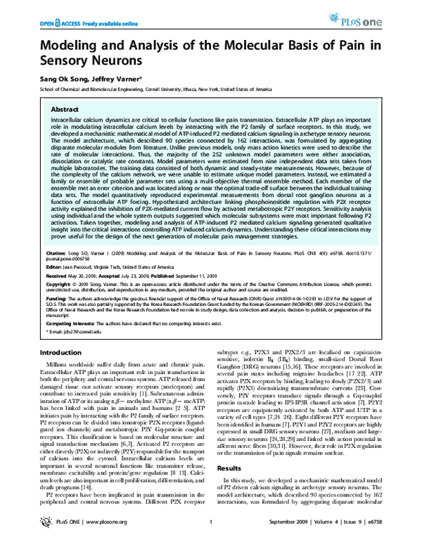 (PDF) Modeling and Analysis of the Molecular Basis of Pain in Sensory ...