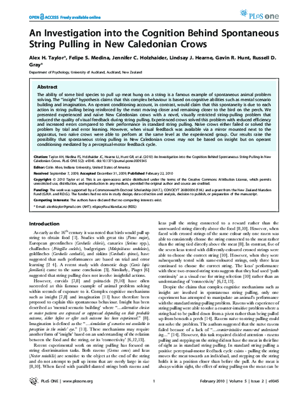 (PDF) An Investigation into the Cognition Behind Spontaneous String ...