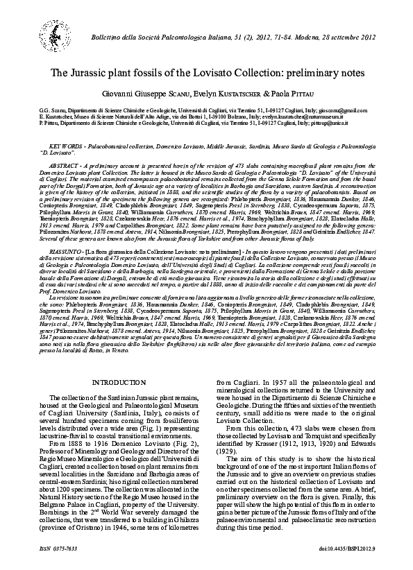 (PDF) The Jurassic plant fossils of the Lovisato Collection