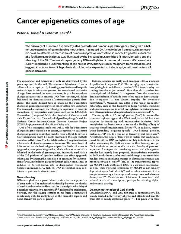(PDF) Cancer Epigenetics Comes of Age
