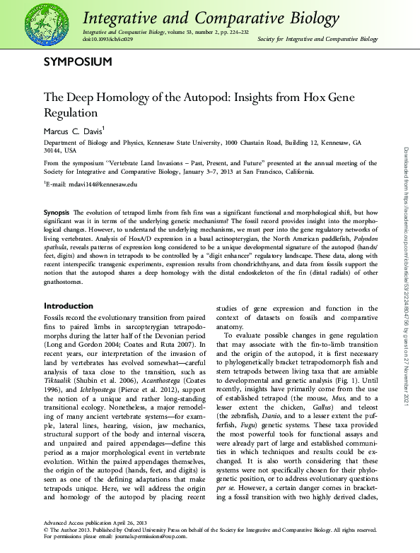(PDF) The Deep Homology of the Autopod: Insights from Hox Gene Regulation