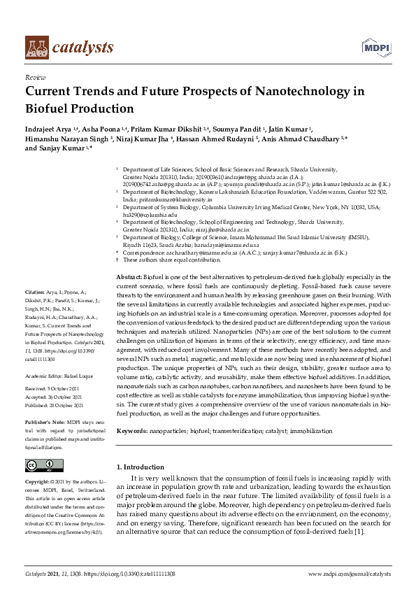 (PDF) Current Trends and Future Prospects of Nanotechnology in Biofuel ...