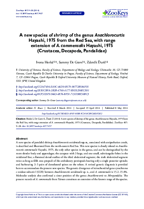 (PDF) A new species of shrimp of the genus Anachlorocurtis Hayashi ...