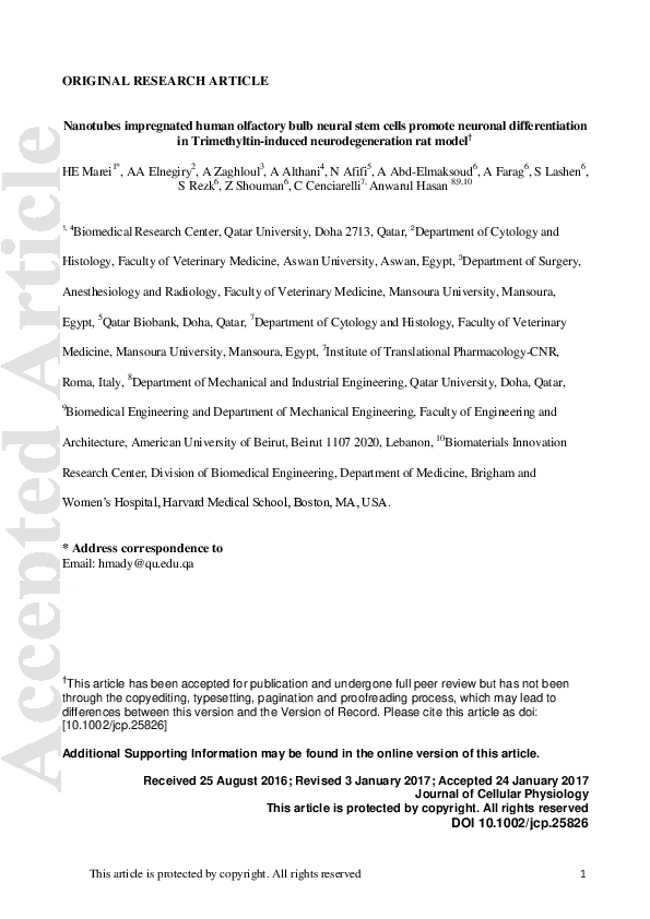 (PDF) Nanotubes impregnated human olfactory bulb neural stem cells ...